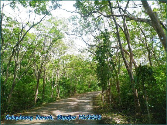 Salagdoong Forest Reserve